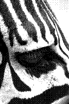 Dithered image